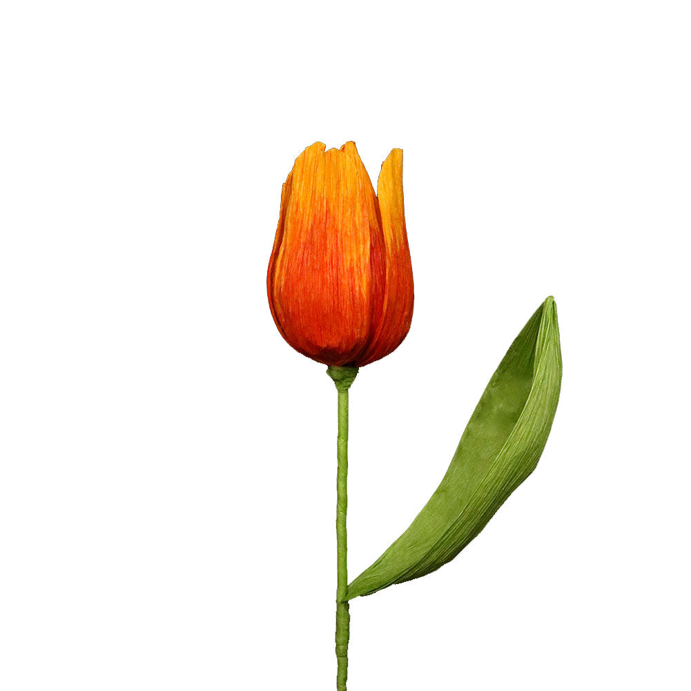 AC10103 BIG TULIP,27.5in-16P/64/5.19'