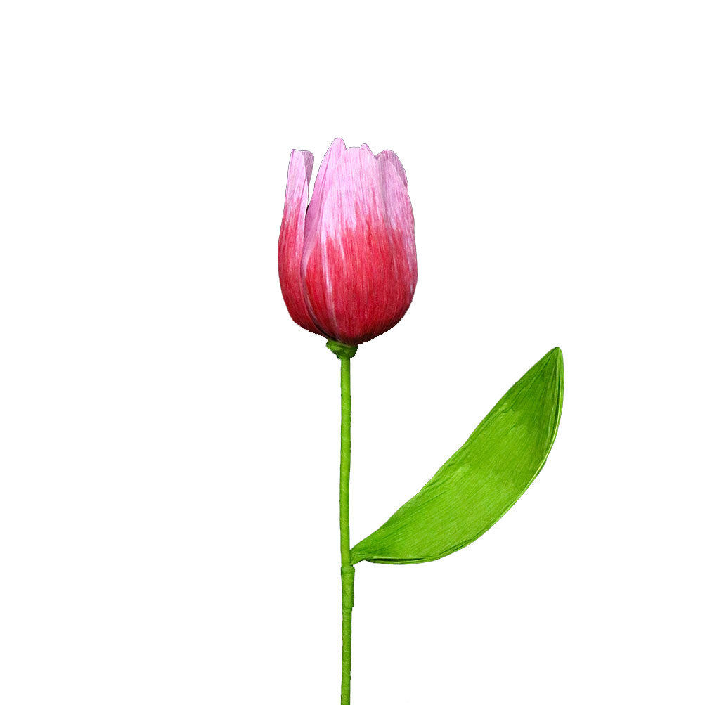 AC10103 BIG TULIP,27.5in-16P/64/5.19'