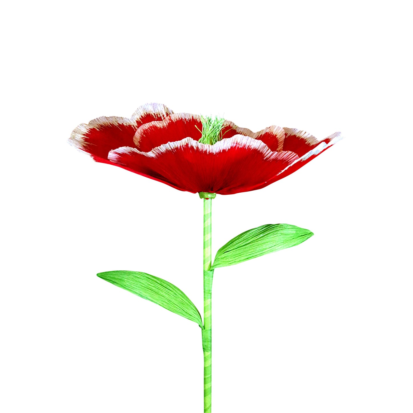 AC10104 GIANT POPPY,37.5in-12P/24/4.58'