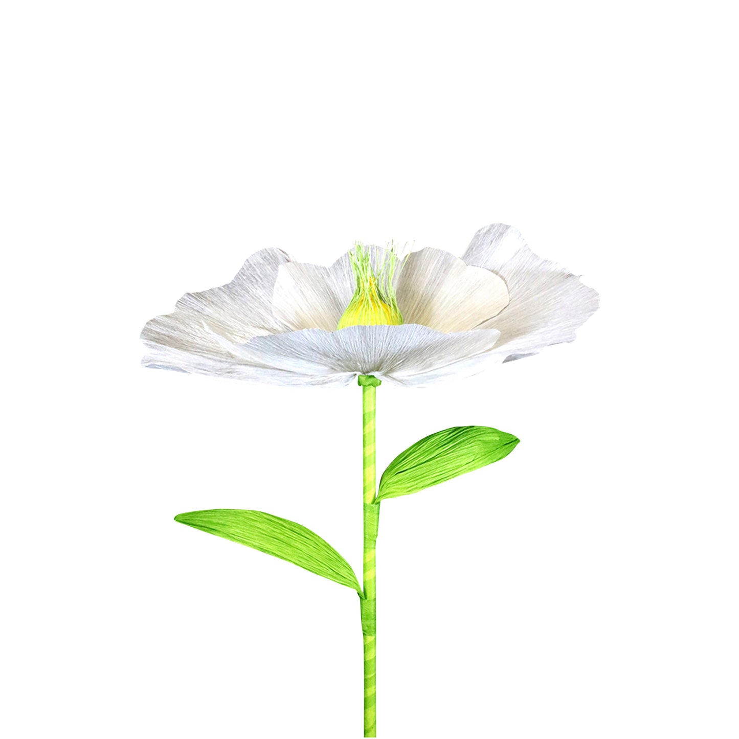 AC10104 GIANT POPPY,37.5in-12P/24/4.58'