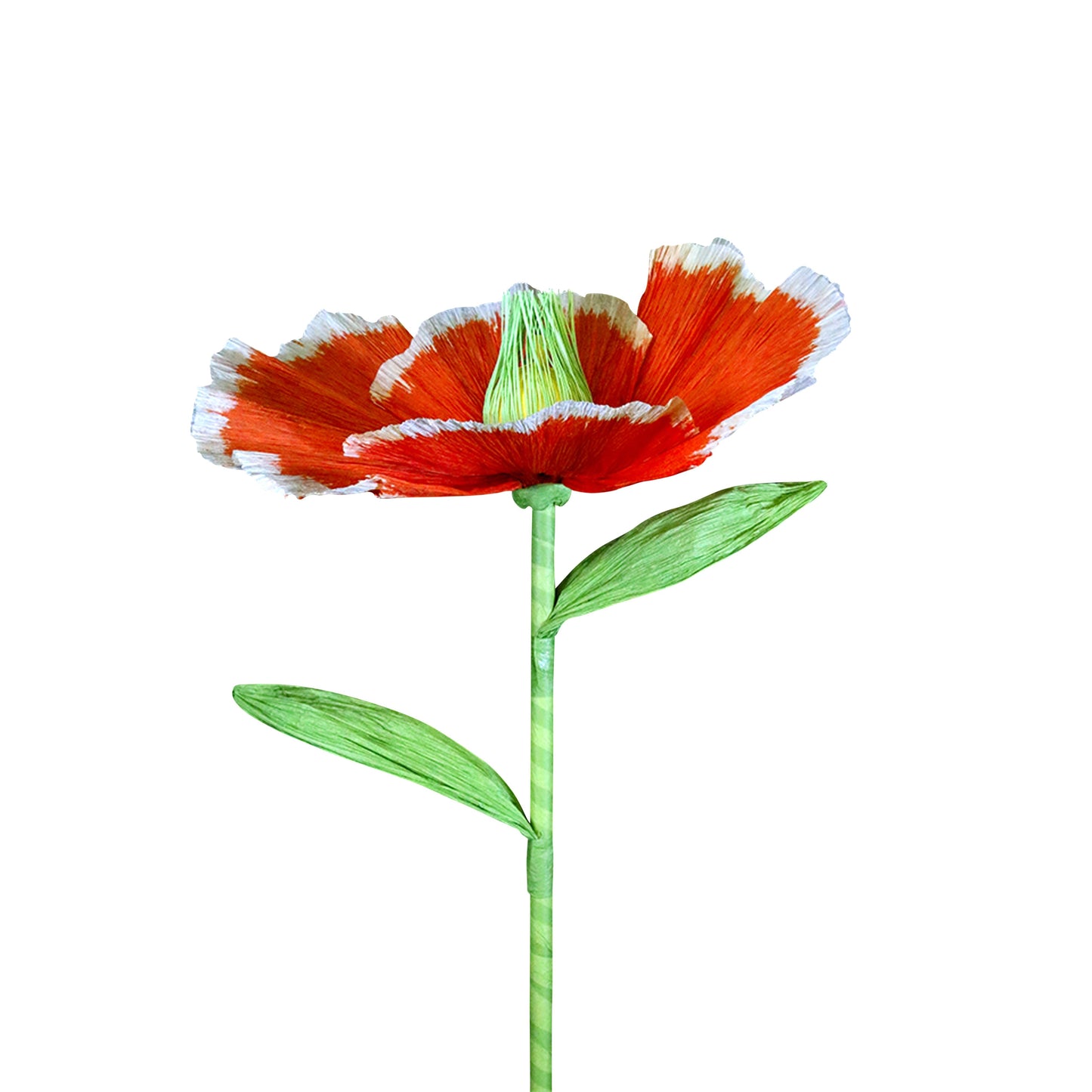 AC10105 GIANT POPPY,27.5in-12P/48/5.87'