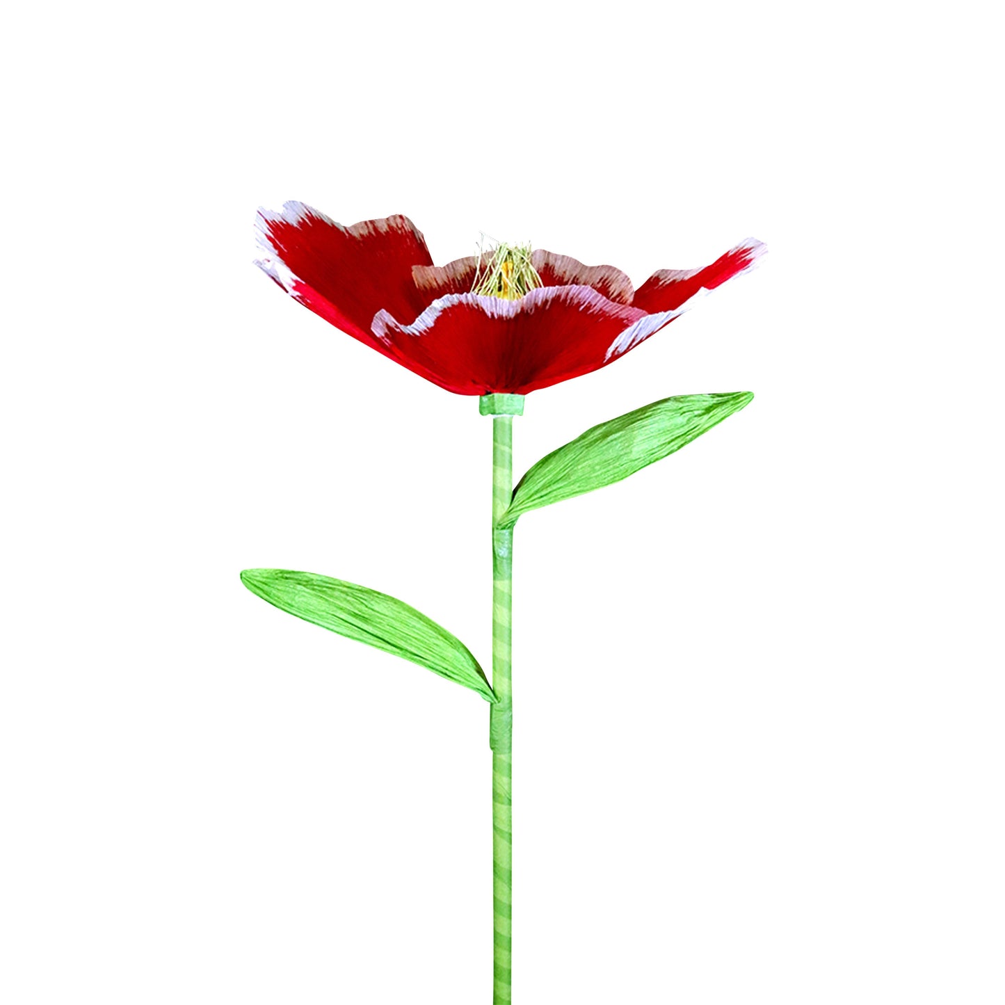 AC10105 GIANT POPPY,27.5in-12P/48/5.87'