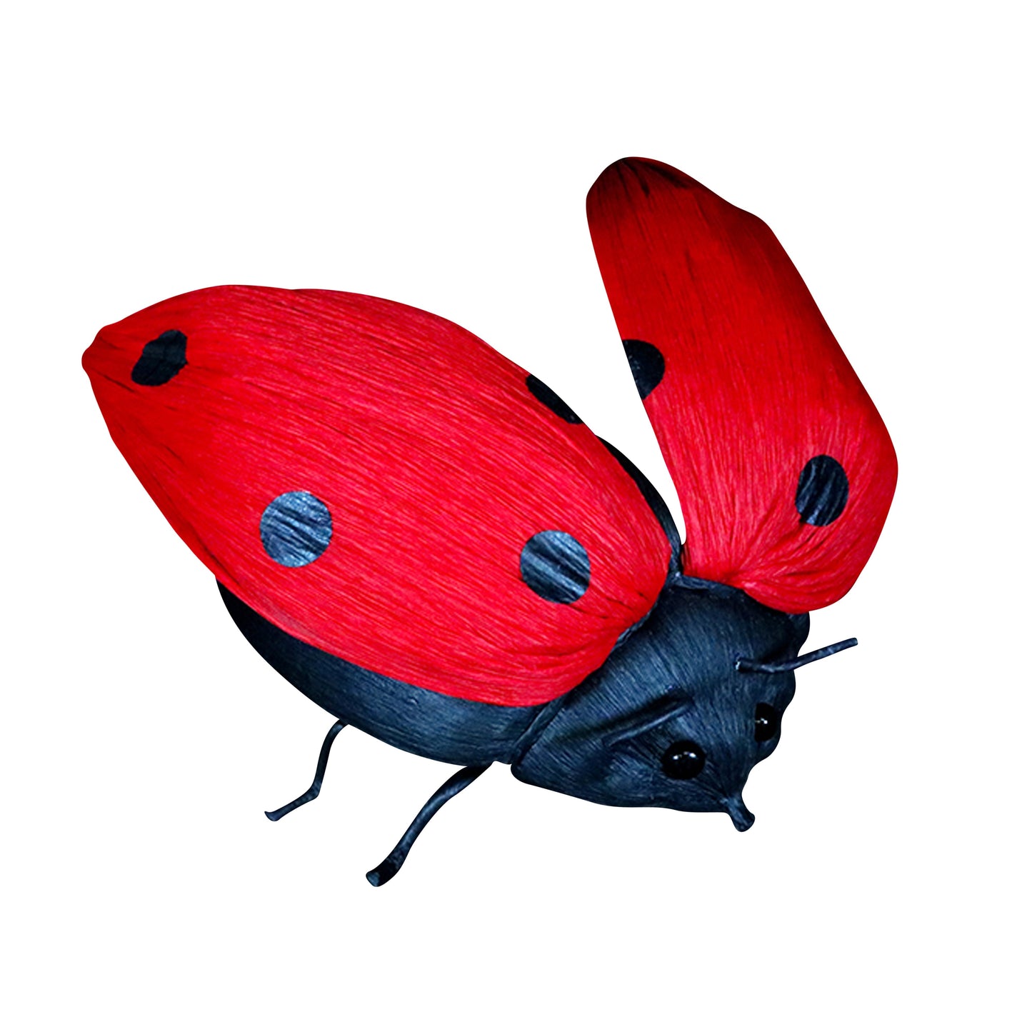 AC10116 FLYING LADYBUG,10.5in-6P/24/5.48'