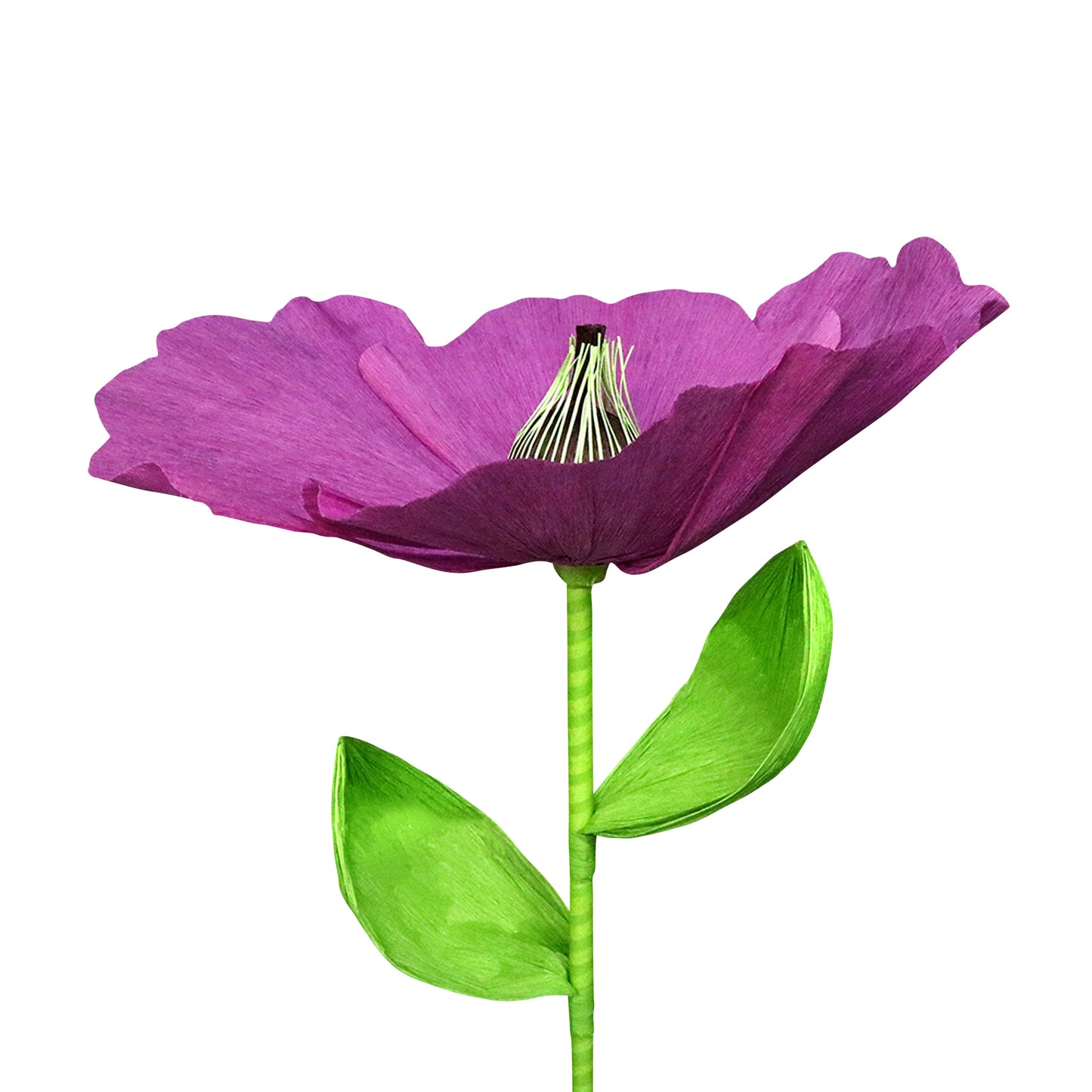 AC10118 GIANT POPPY,37.5in-12P/24/4.58'