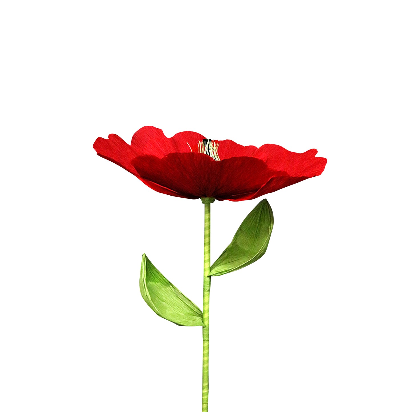 AC10118 GIANT POPPY,37.5in-12P/24/4.58'