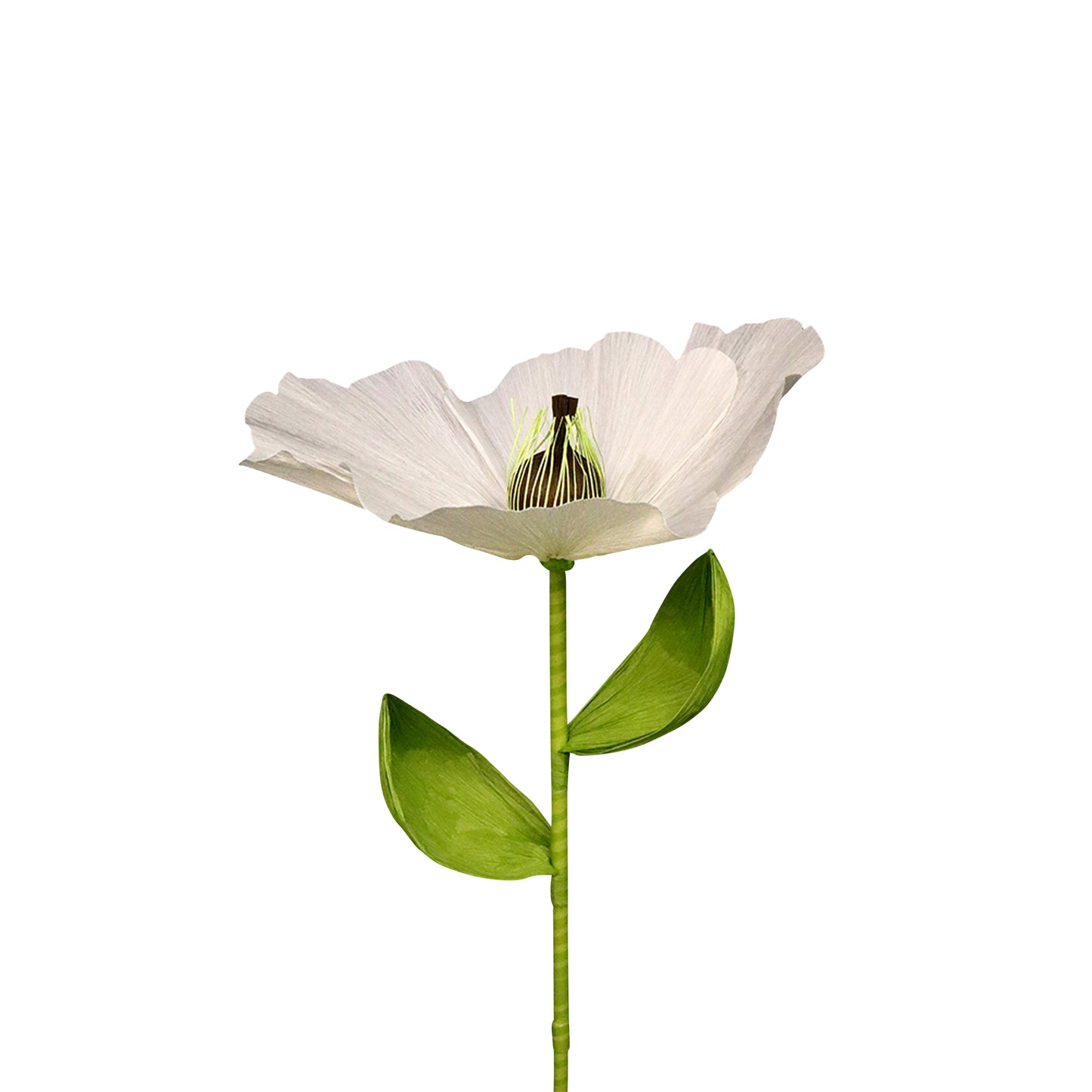 AC10119 GIANT POPPY,27.5in-12P/48/5.87'
