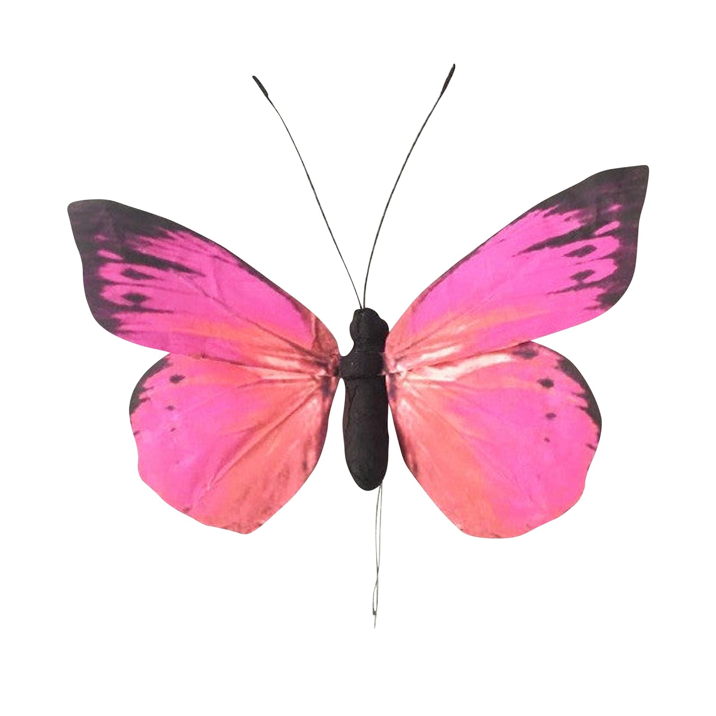 AC10145 ARTI BUTTERFLY,31.5in-12P/5.78'