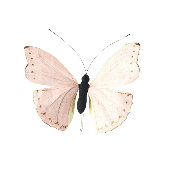 AC10145 ARTI BUTTERFLY,31.5in-12P/5.78'