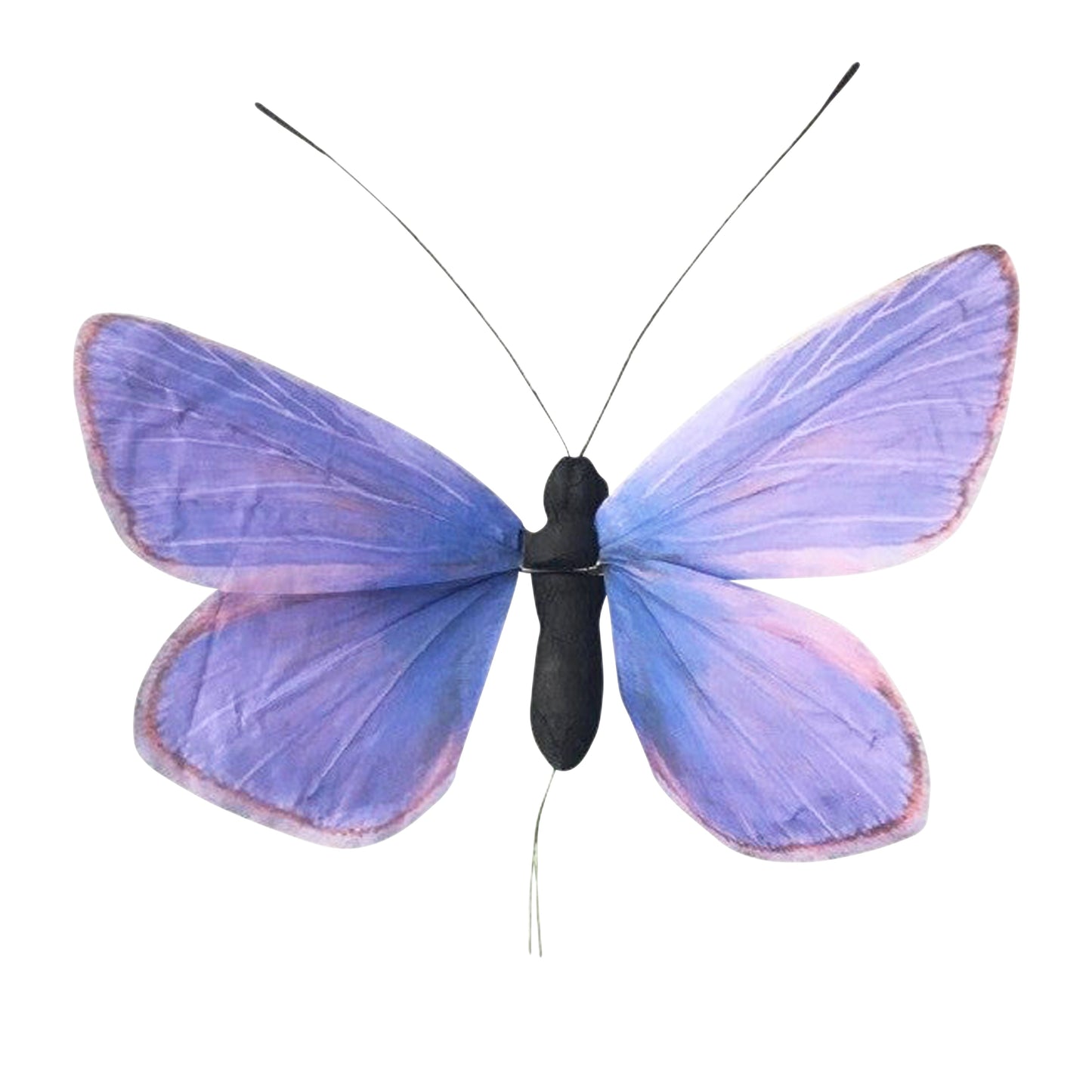 AC10145 ARTI BUTTERFLY,31.5in-12P/5.78'