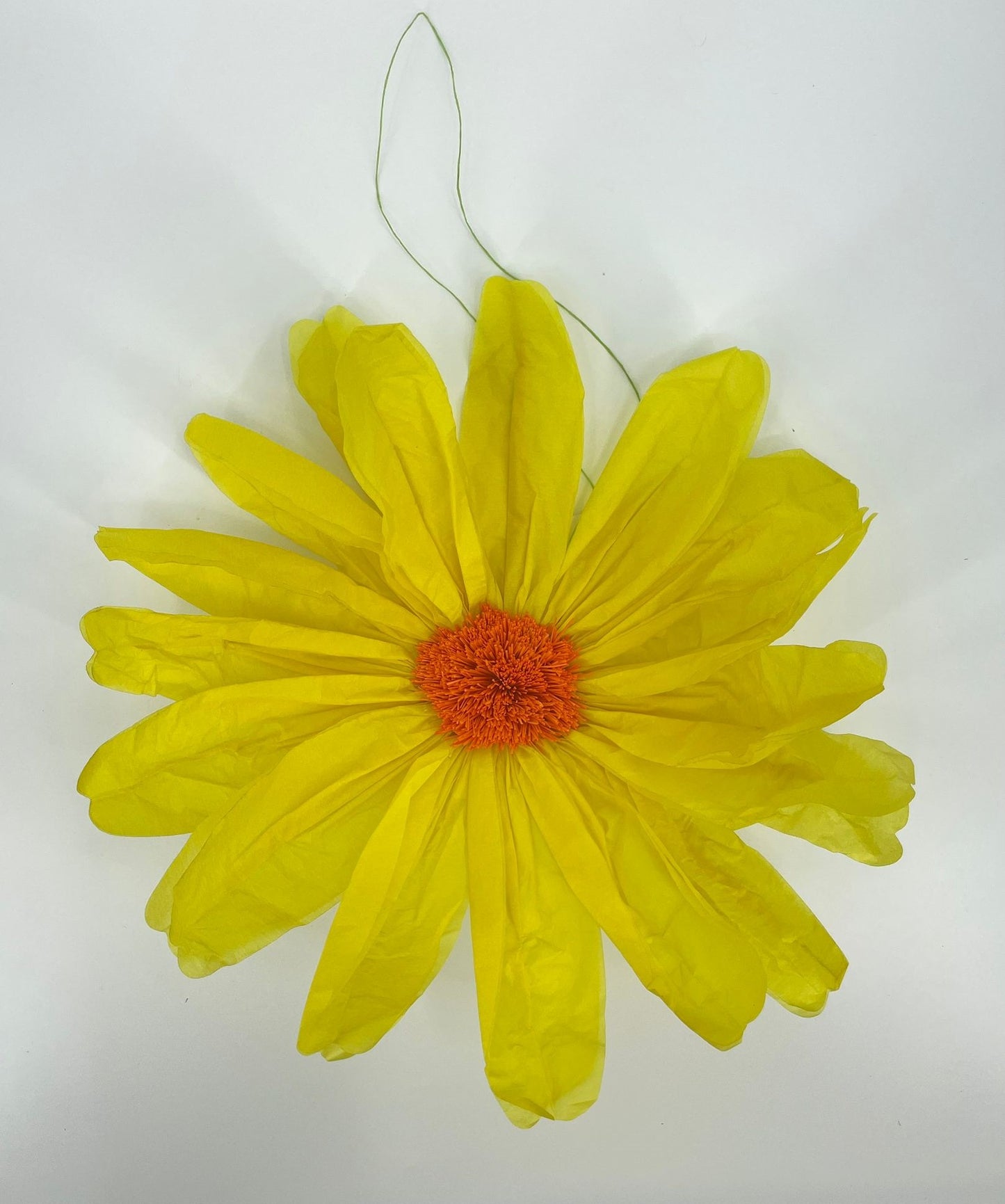 AC10219 FRENCH COSMOS HEAD,19.5in-24P