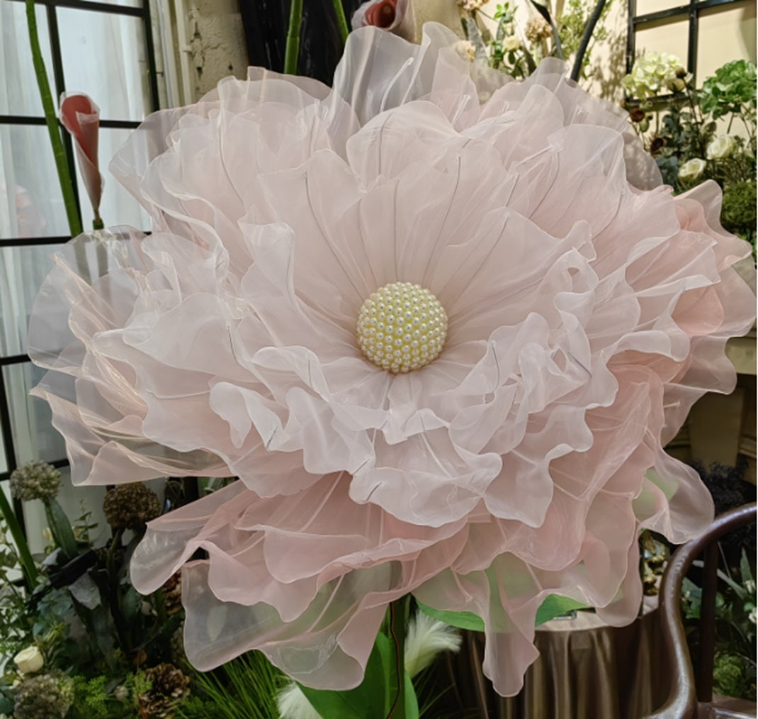AC10251 GIANT LACE POPPY,6'