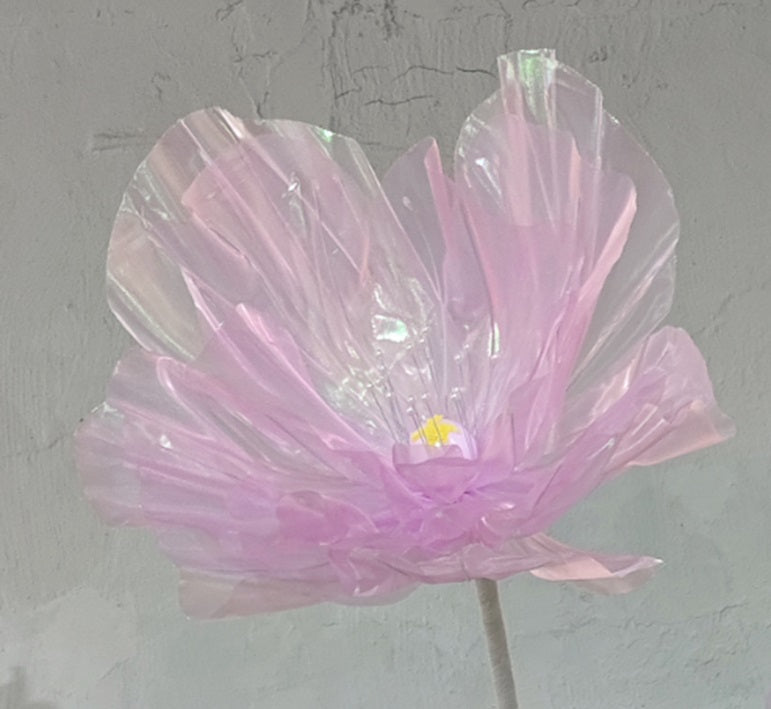 AC10361 GIANT LACE POPPY,6'