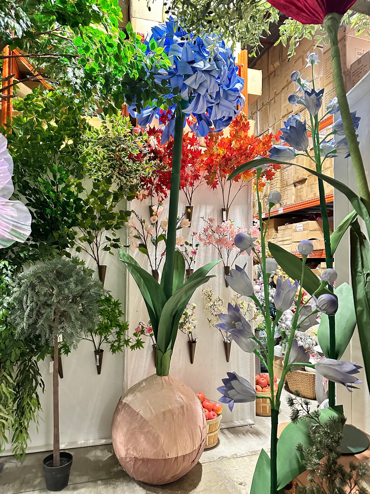 AC10366 PU GIANT AGAPANTHUS,8.5'