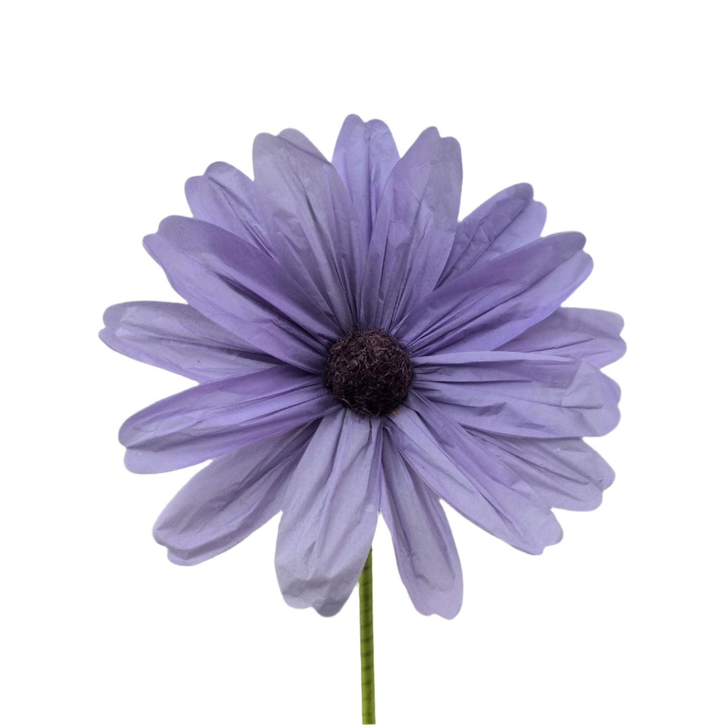 AC10431 GIANT COSMOS,5'