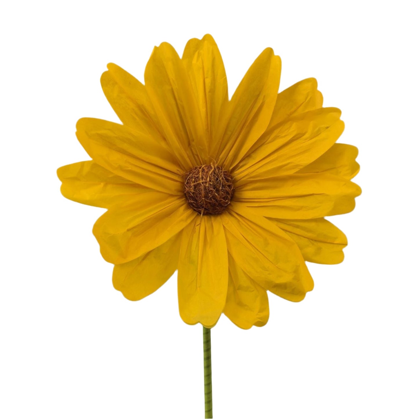 AC10431 GIANT COSMOS,5'