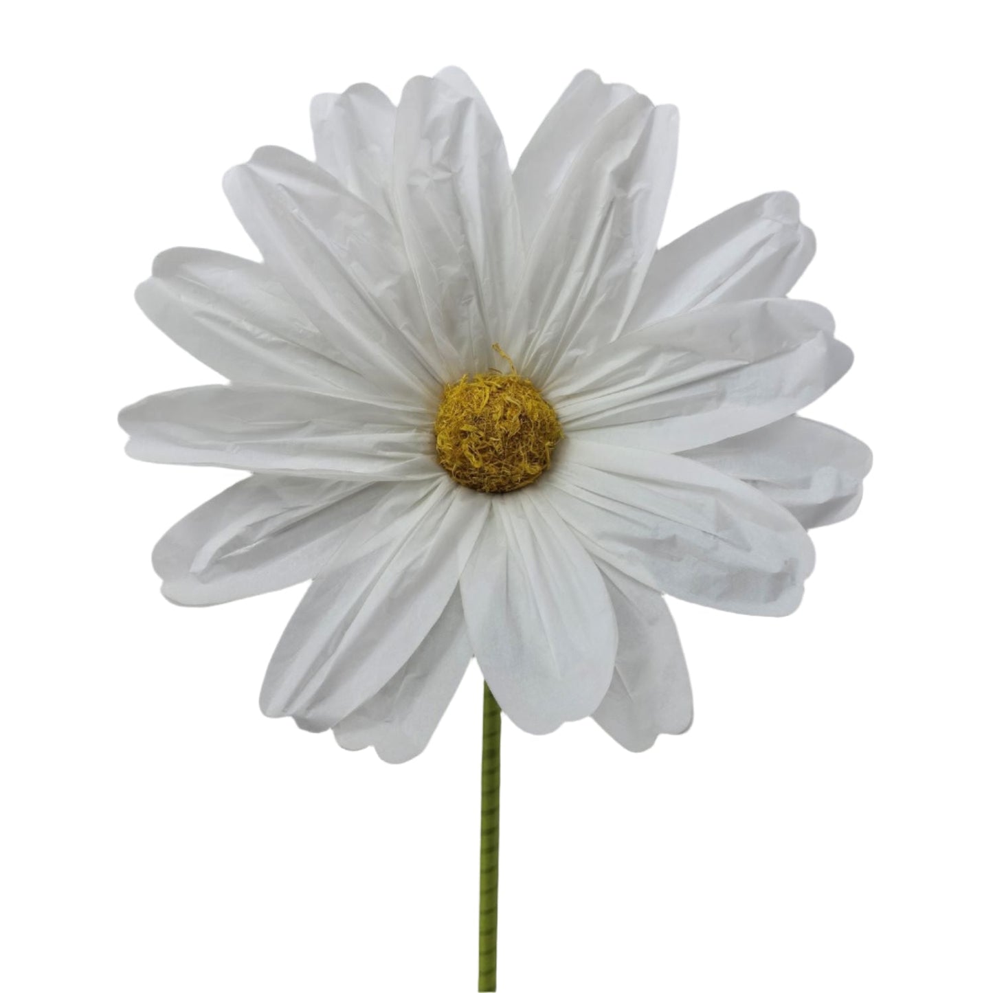 AC10431 GIANT COSMOS,5'