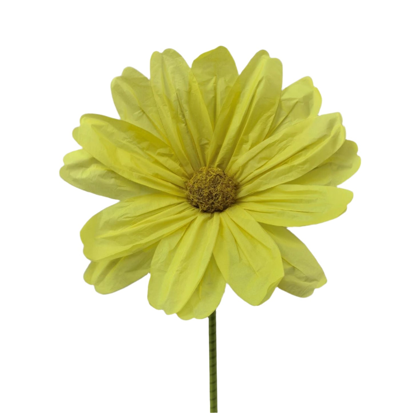 AC10431 GIANT COSMOS,5'