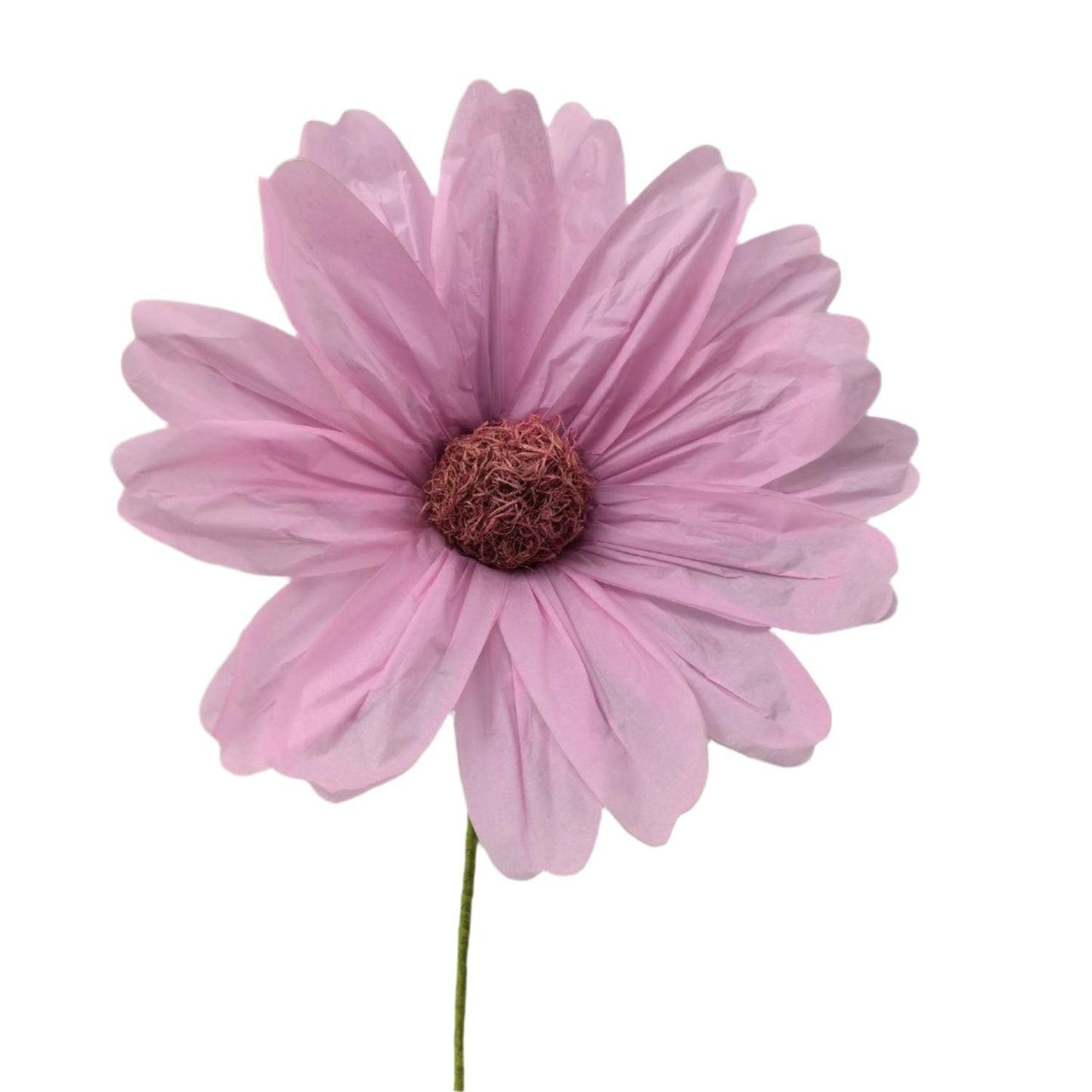 AC10432 BIG COSMOS,43"