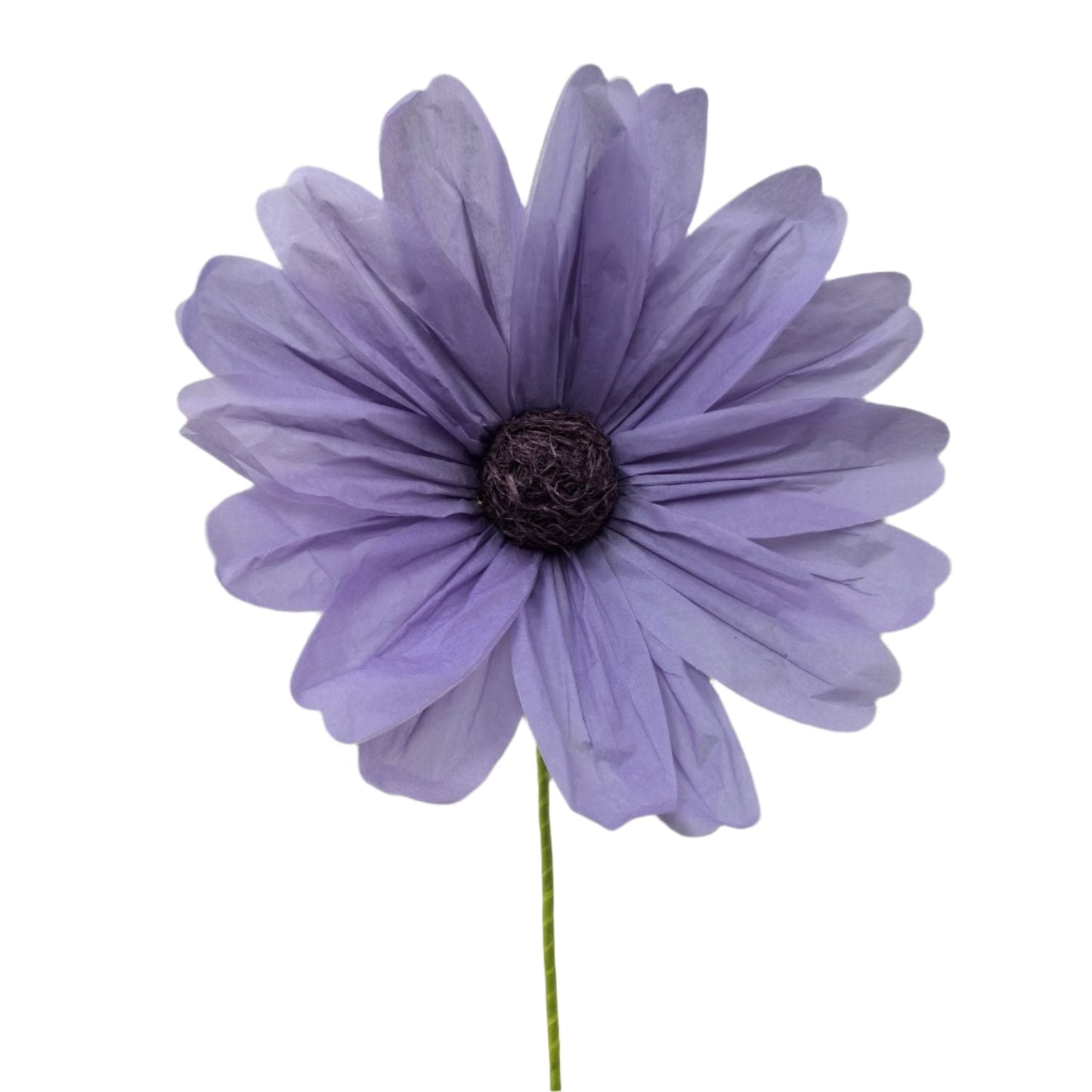 AC10432 BIG COSMOS,43"