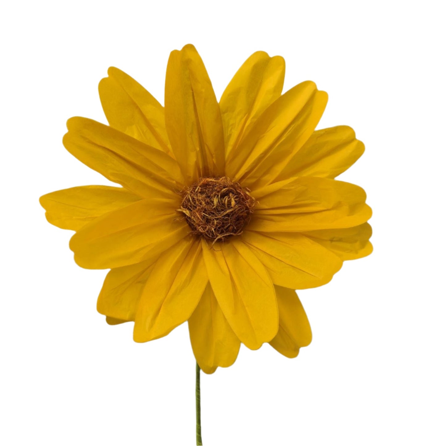 AC10432 BIG COSMOS,43"