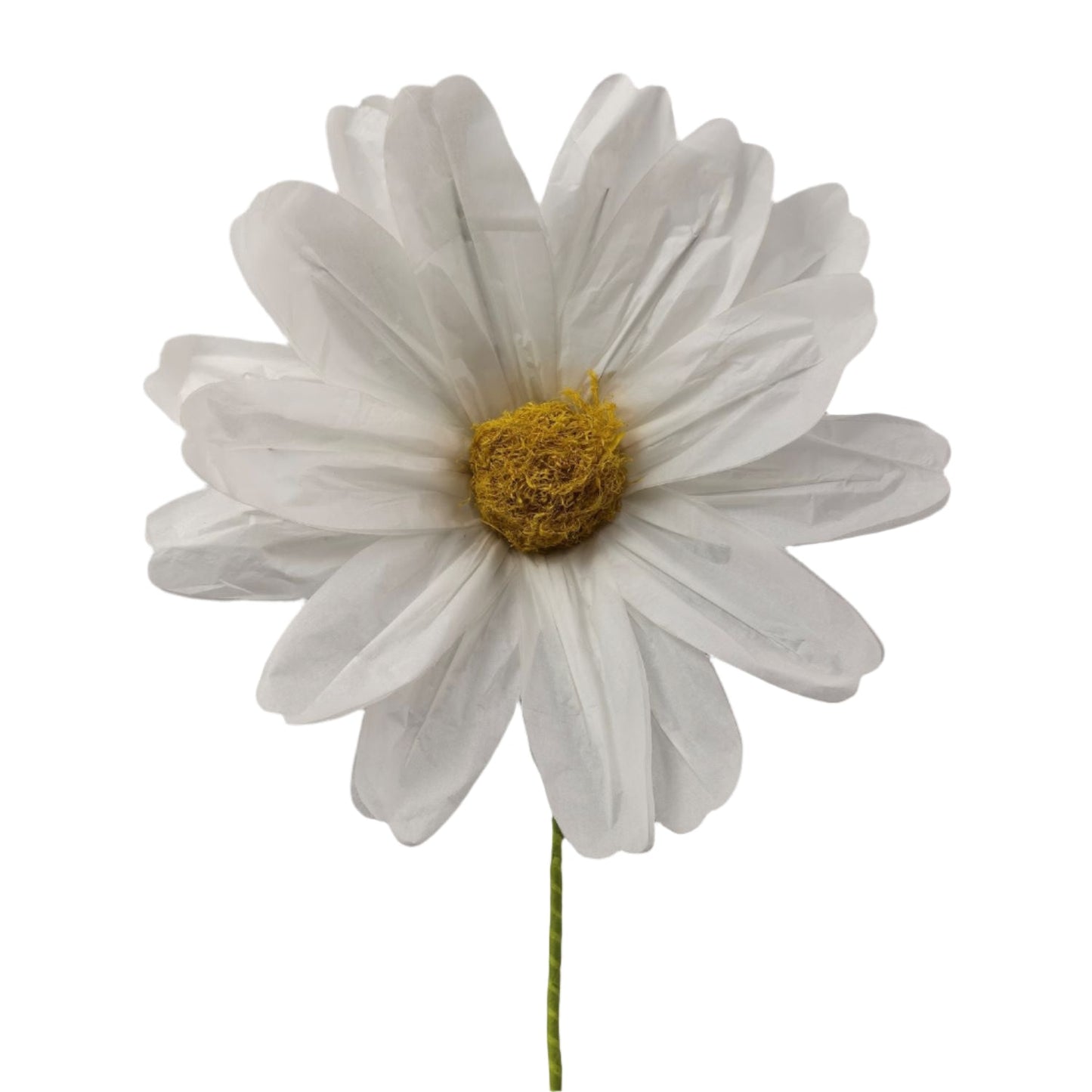 AC10432 BIG COSMOS,43"