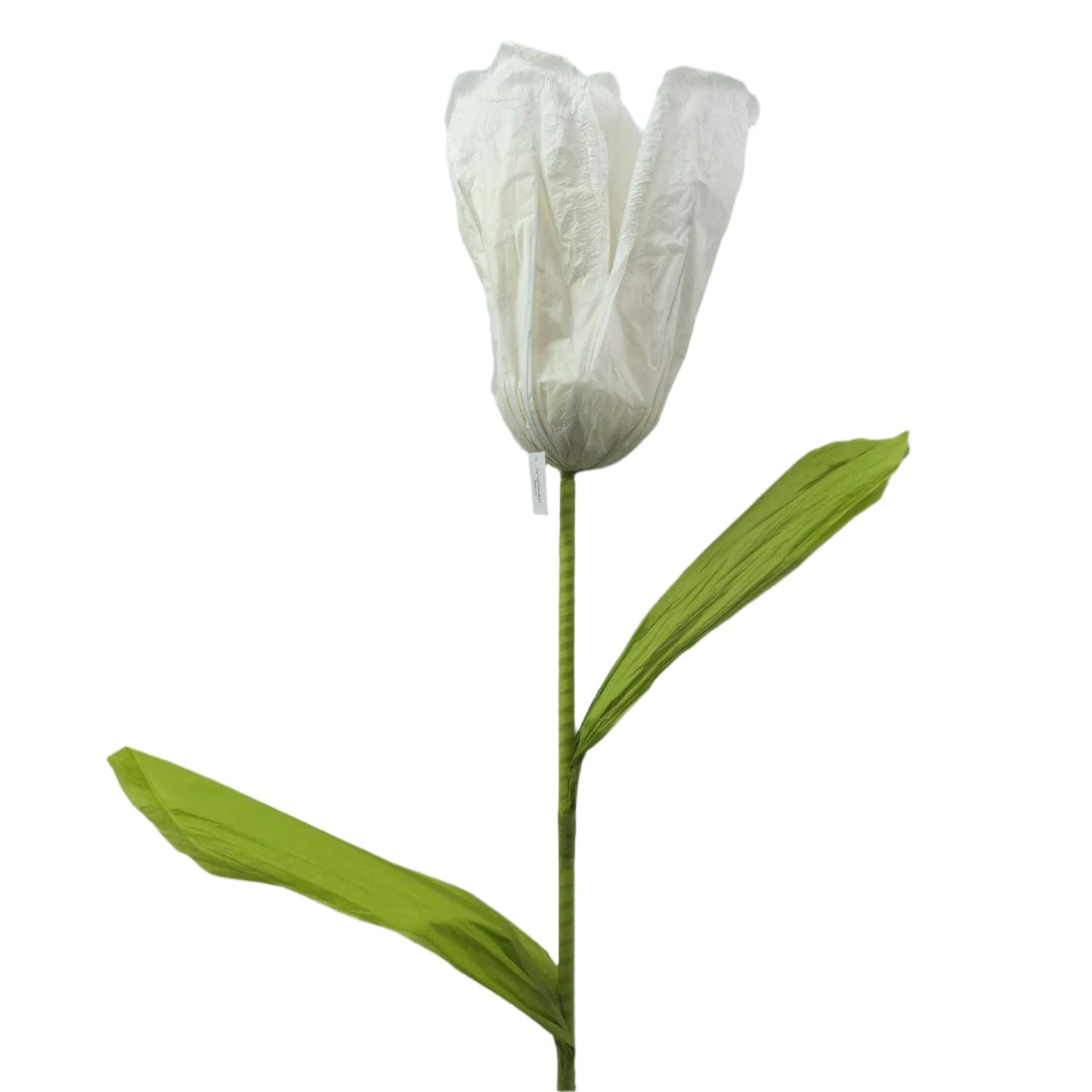 AC10435 GIANT TULIP,6'