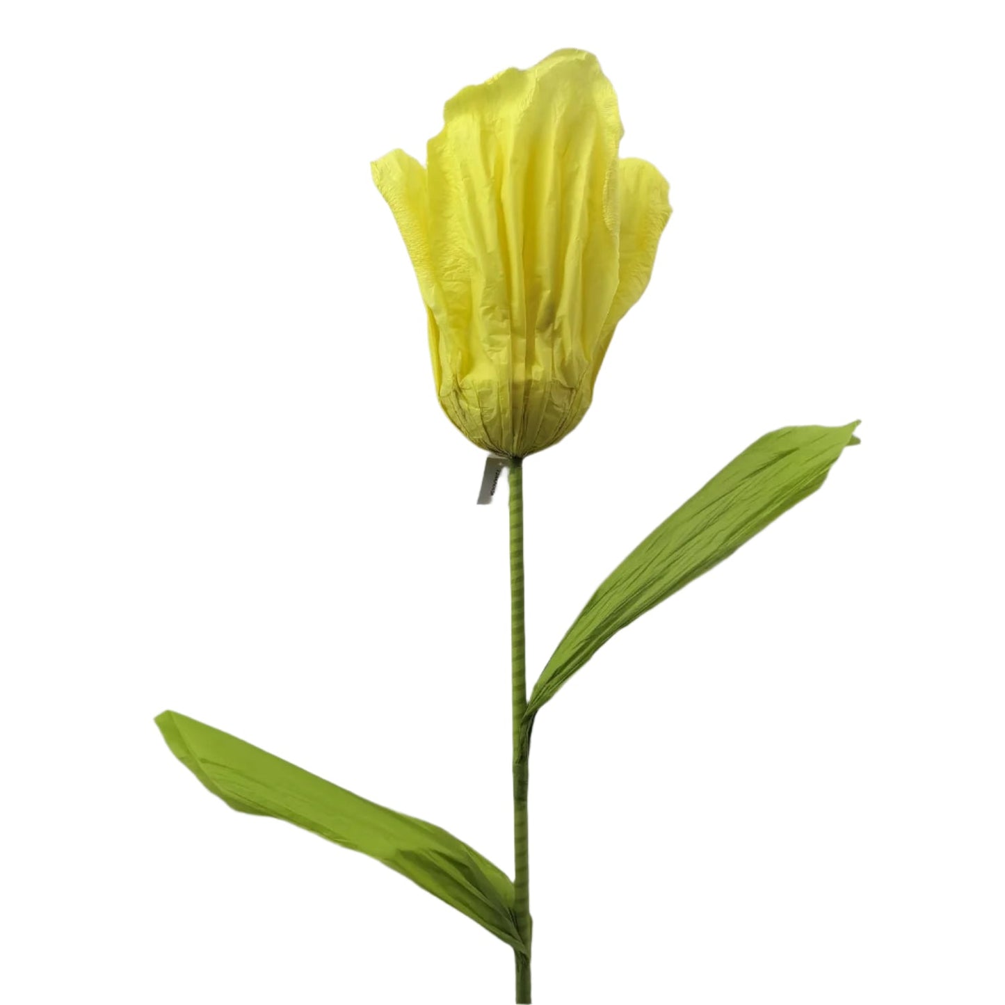 AC10435 GIANT TULIP,6'