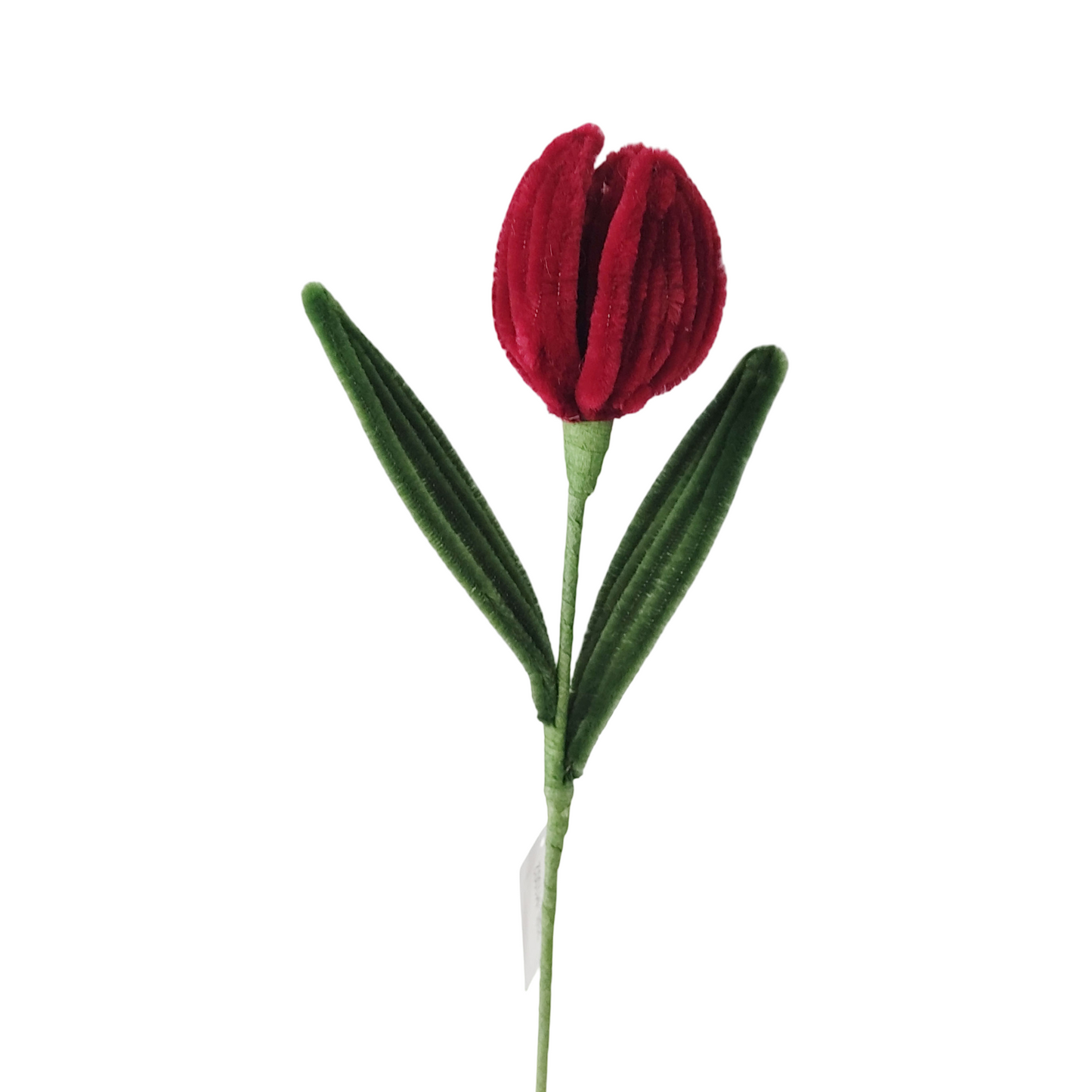 AC10504 TULIP 14in-24/96P