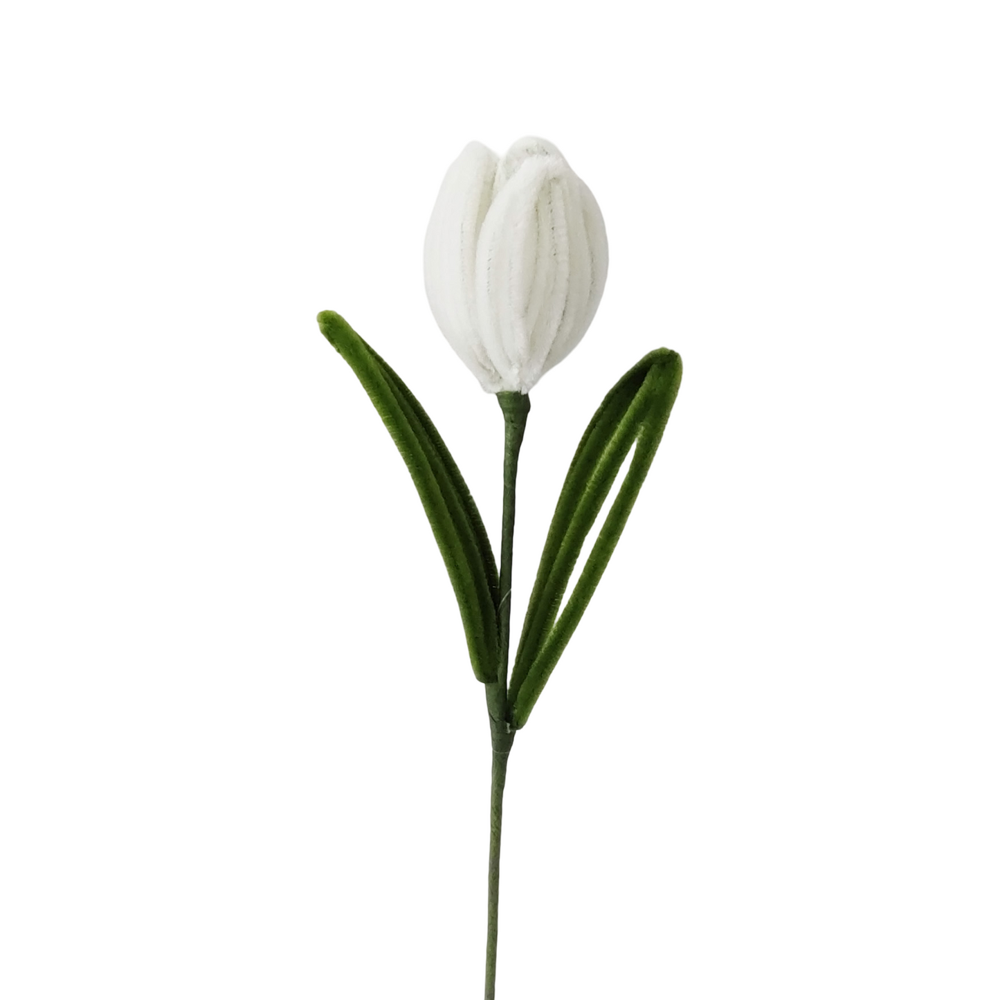 AC10504 TULIP 14in-24/96P