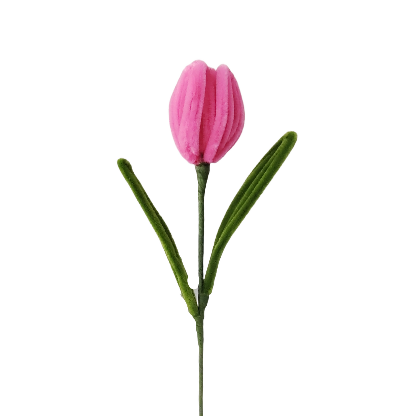AC10504 TULIP 14in-24/96P