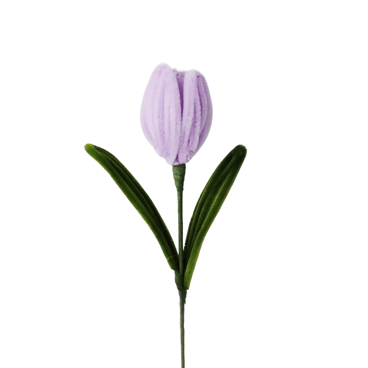AC10504 TULIP 14in-24/96P