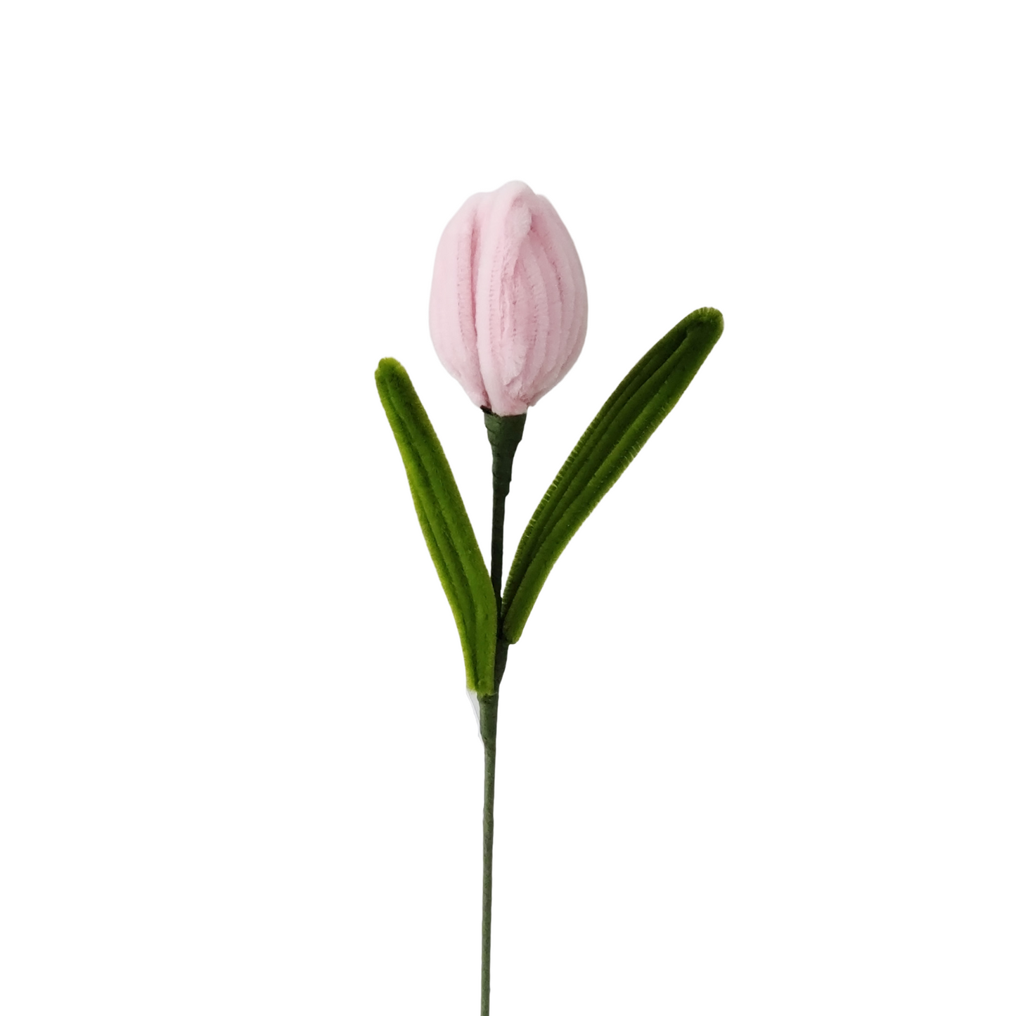 AC10504 TULIP 14in-24/96P