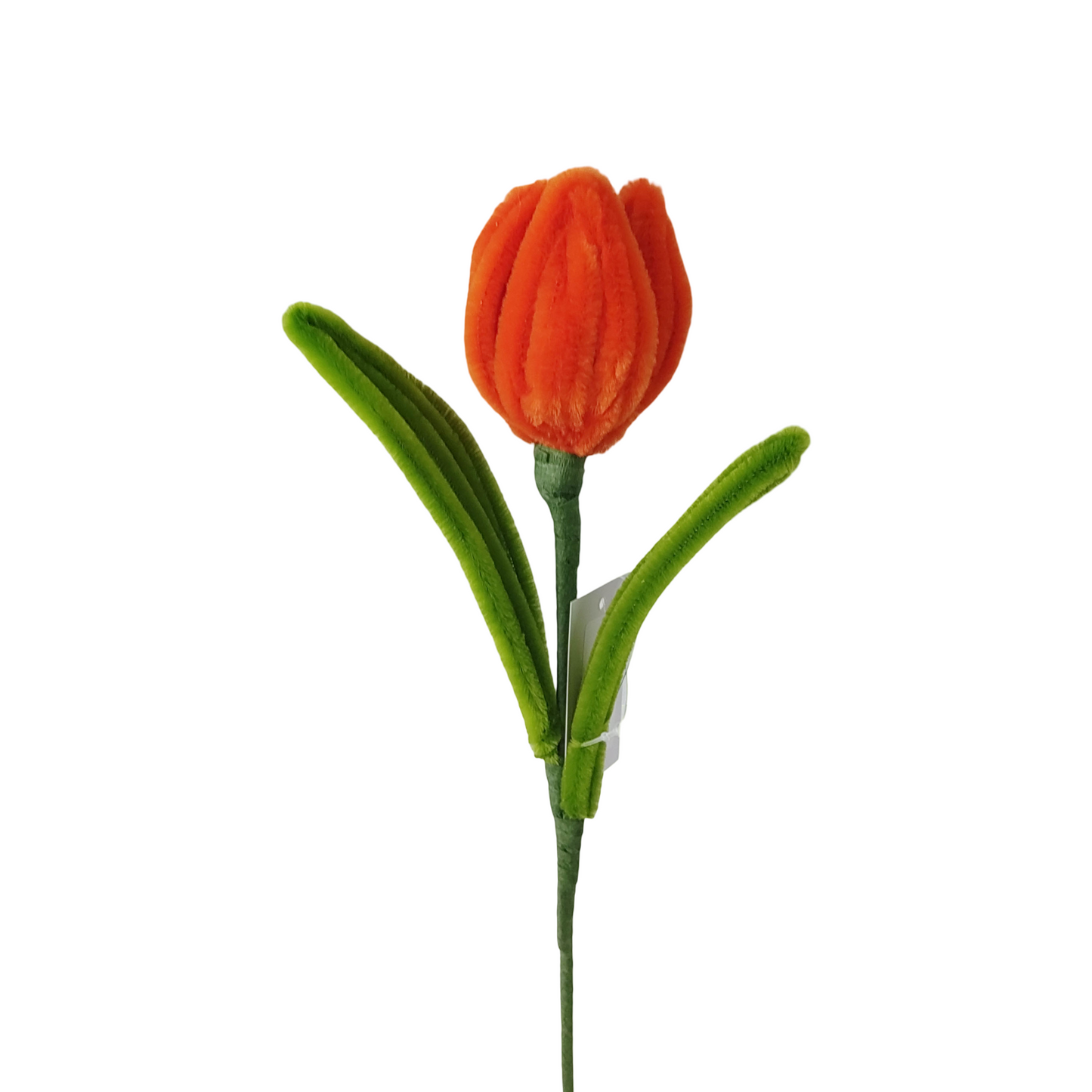 AC10504 TULIP 14in-24/96P