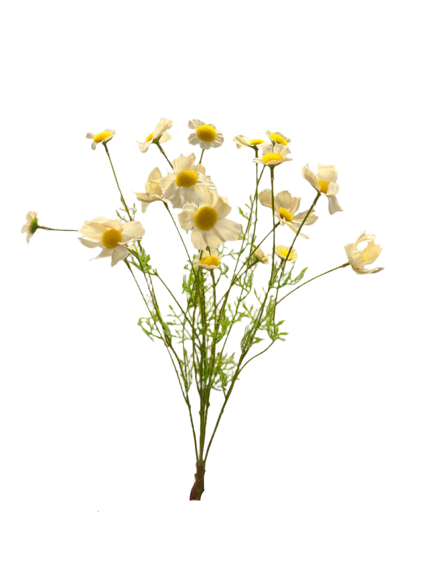 FL13528 COSMOS BUSH 23.5"