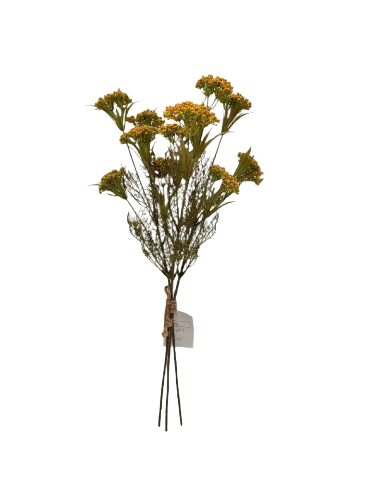 AU10054 QUEEN ANN LACE BUNDLEx3 26.5"
