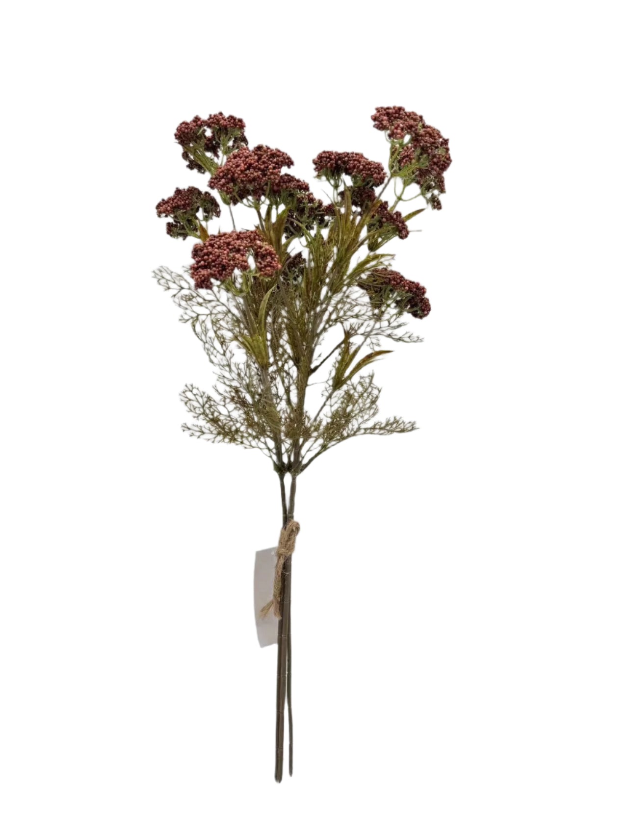 AU10054 QUEEN ANN LACE BUNDLEx3 26.5"