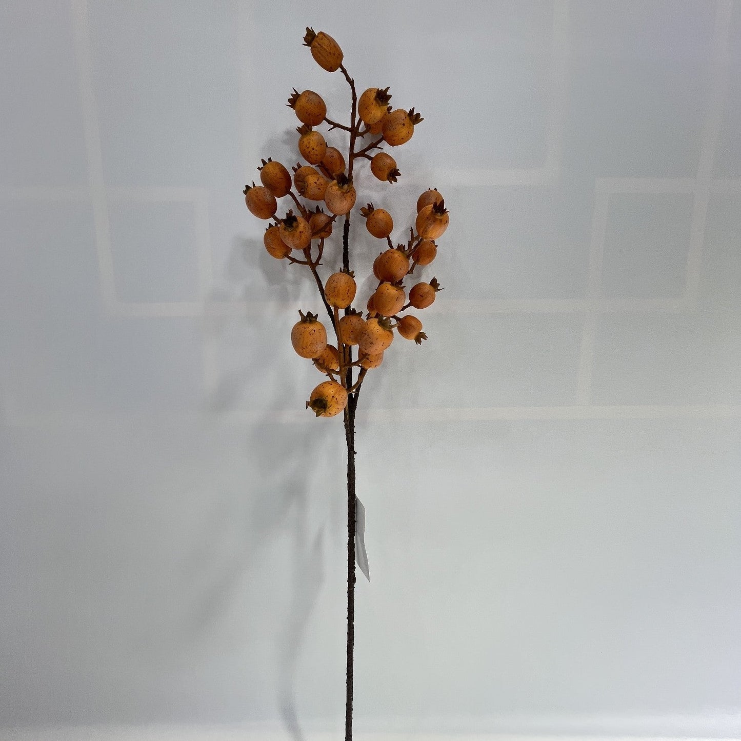 AU10144 ROSESHIP SPRAY,29"