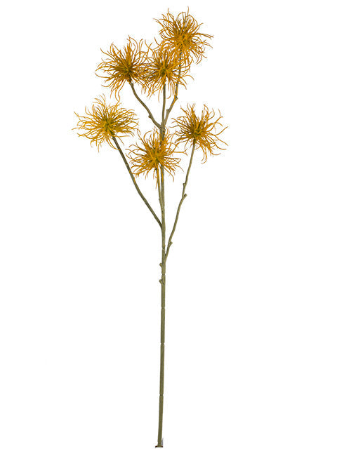 AU10164 CLEMATIS SEED SPRAY,32"
