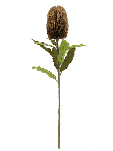 AU10166 BANKSIA SPRAY,25.5"