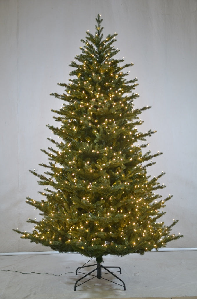 XM30012 ASHEVILLE FIR TRx4371T,1630 LED,9'