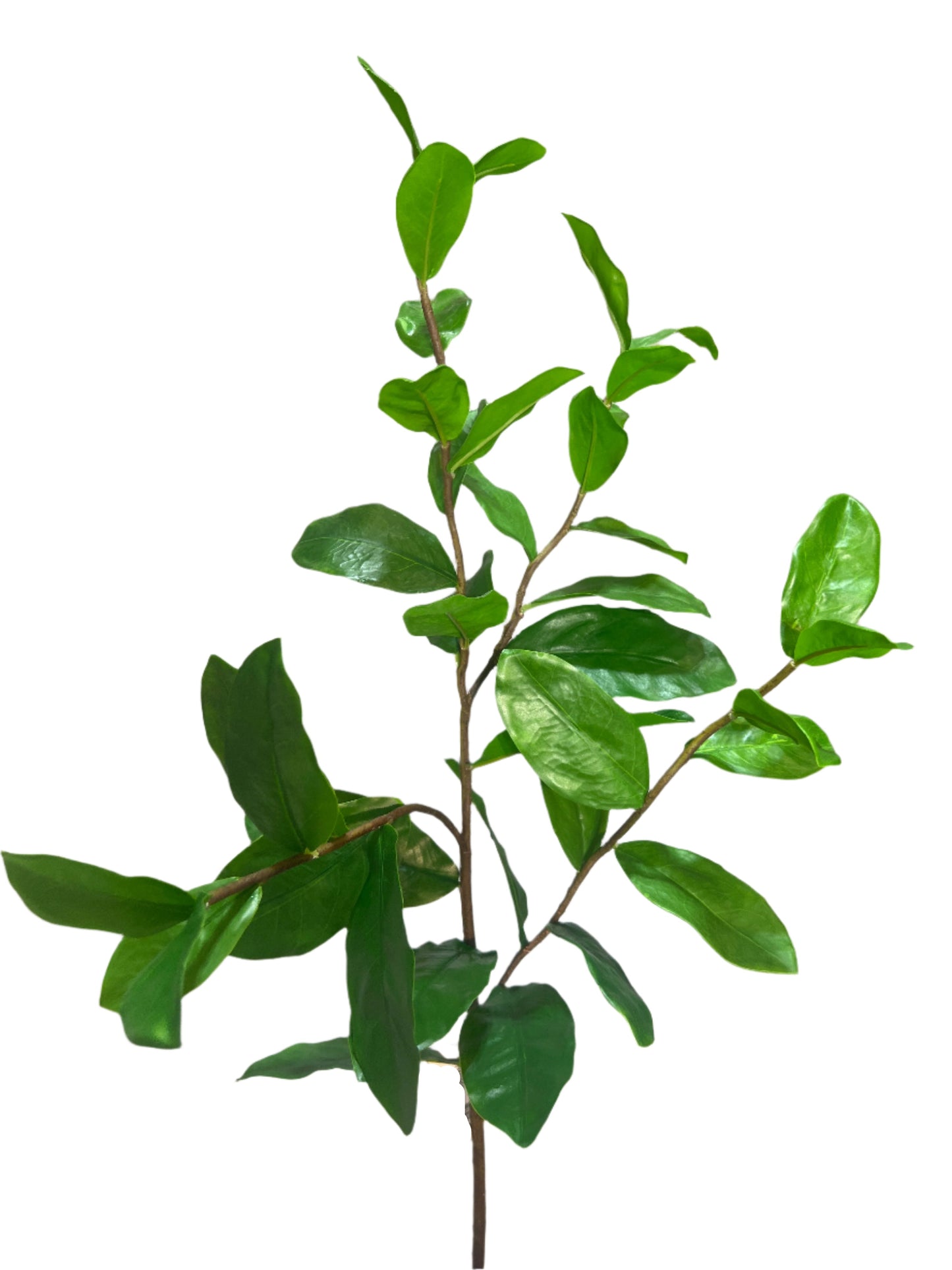 SY11129 BAY LEAF SPRAY 35"