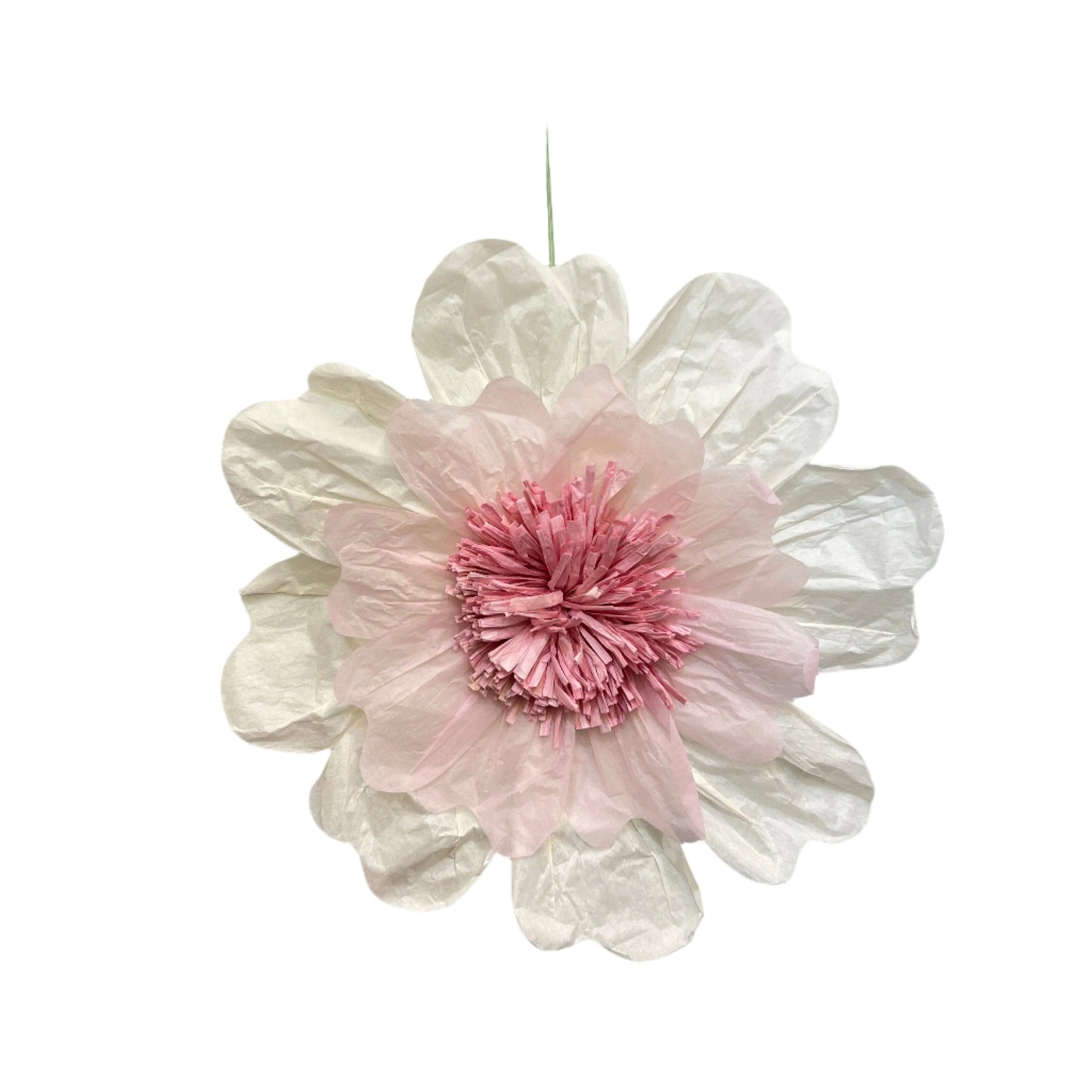 AC10215 MUM HEAD,19.5in-24P