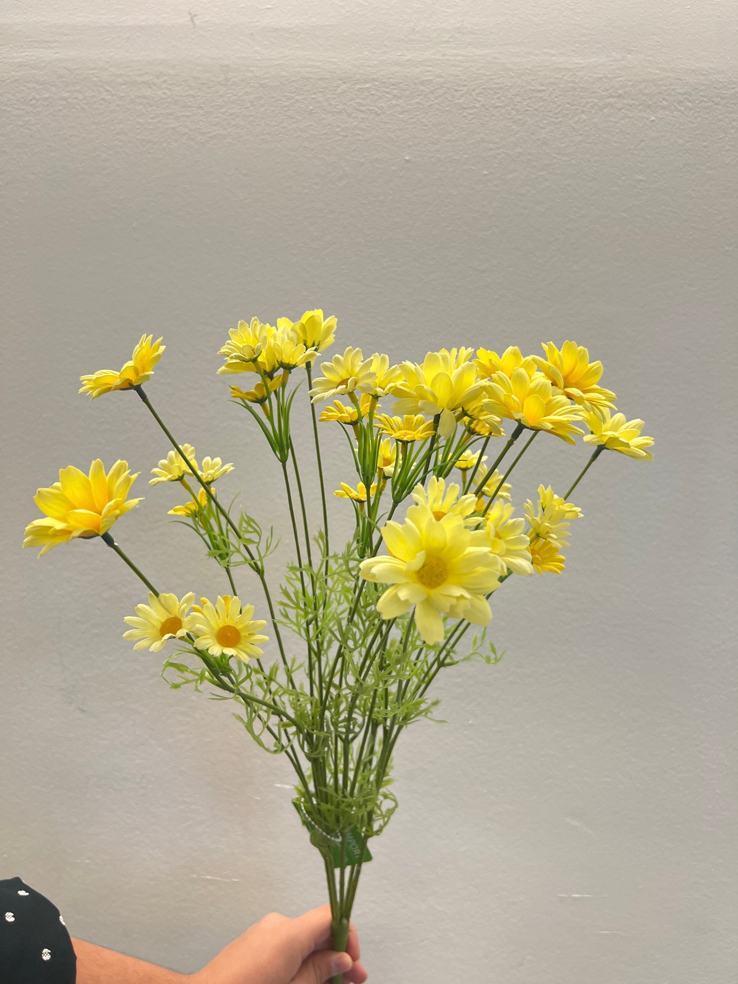 BF10267 MARGUERITE BUSHx15 23"