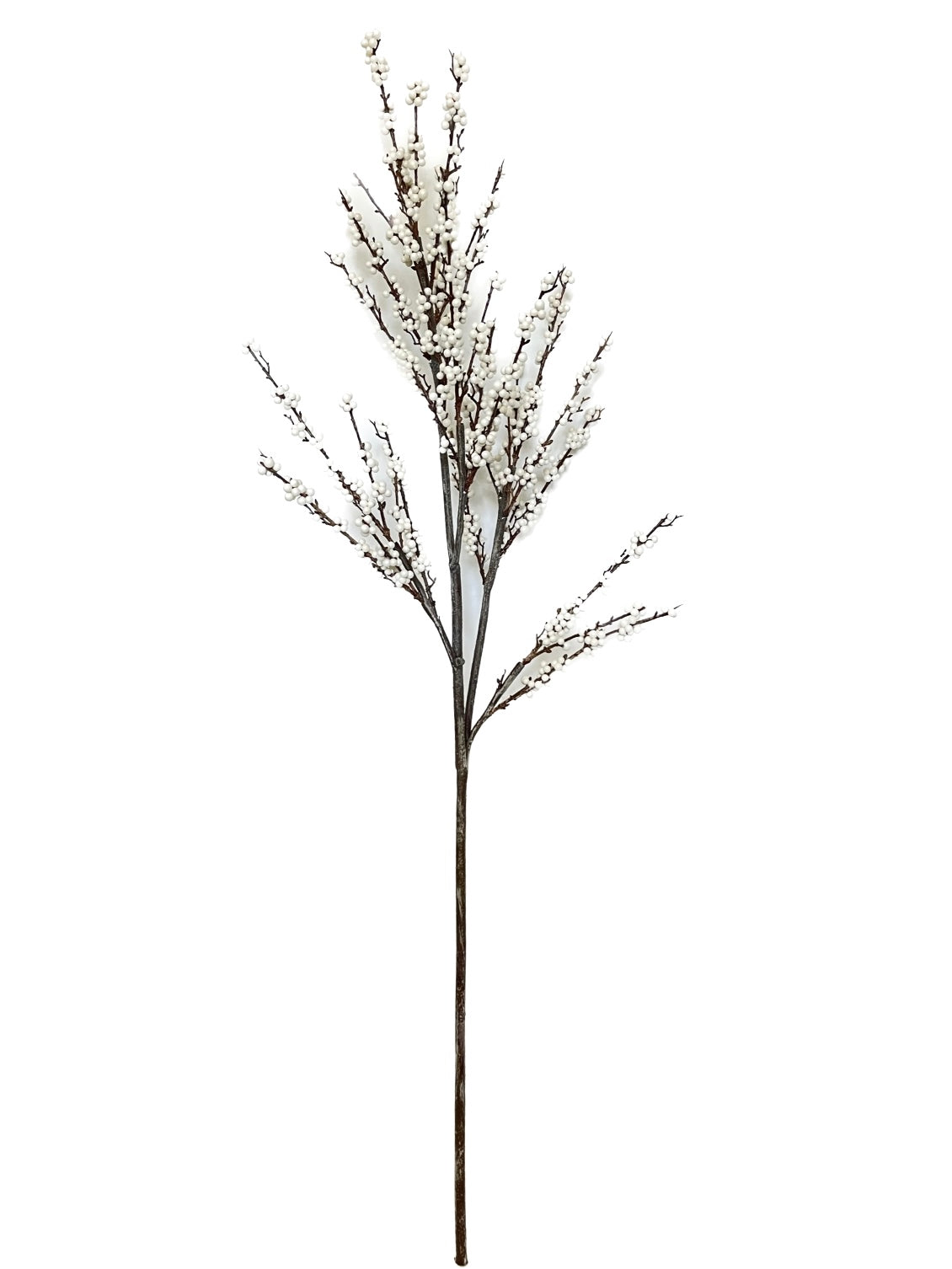 BE10292 ILEX BERRY BRANCH,55in-2/12P
