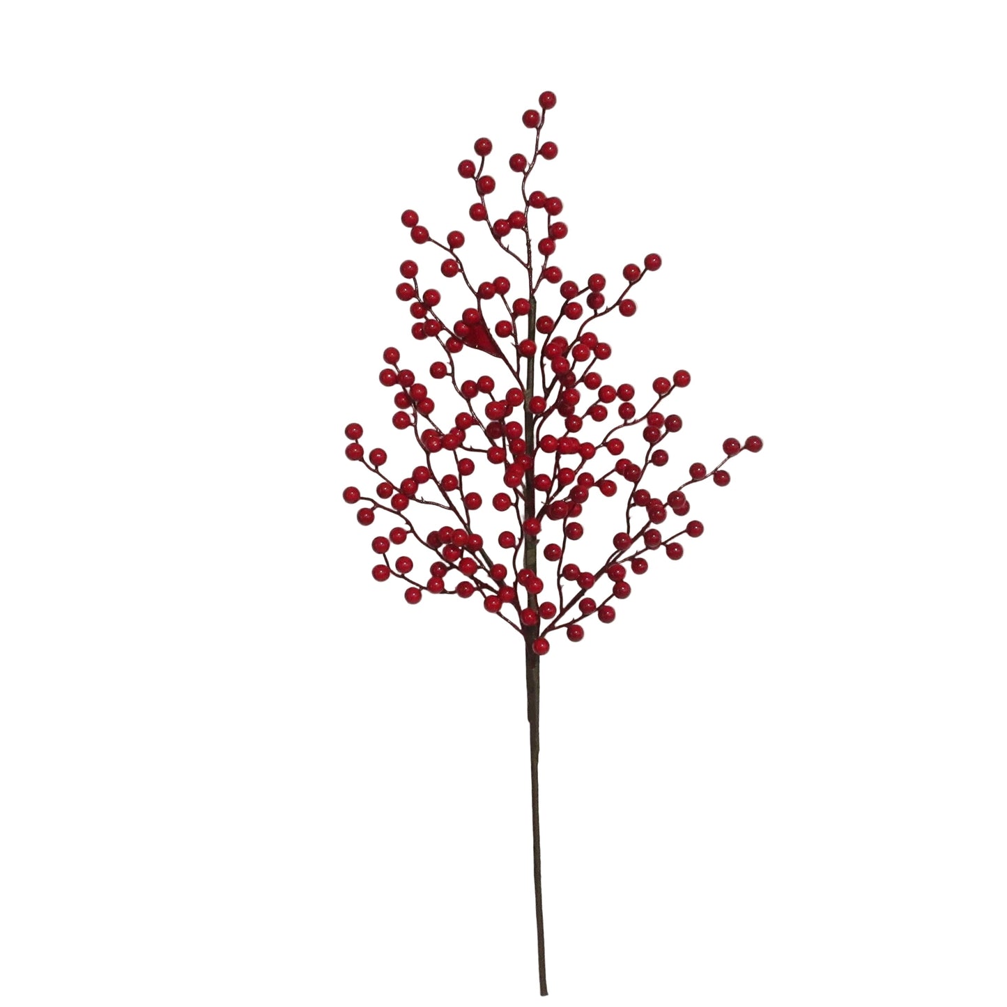 BE10411 BERRY SPRAY