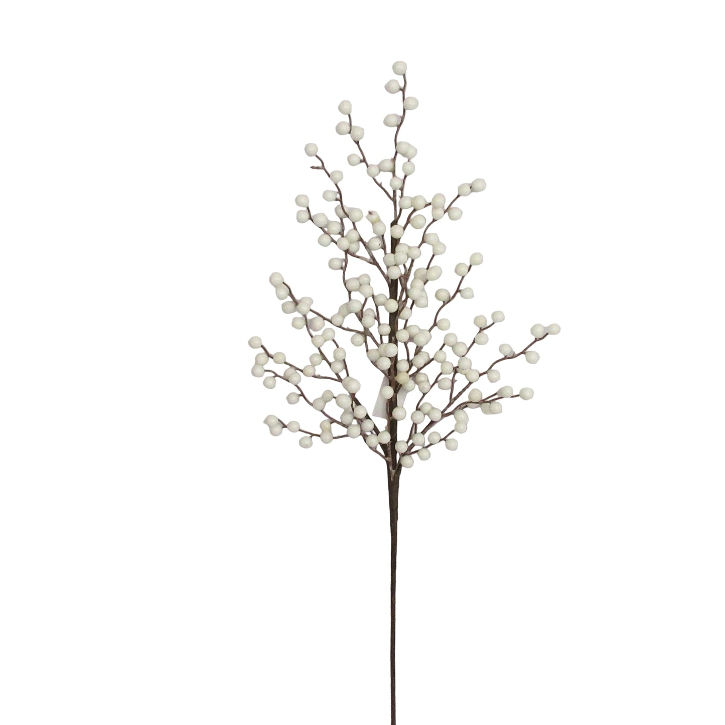 BE10411 BERRY SPRAY