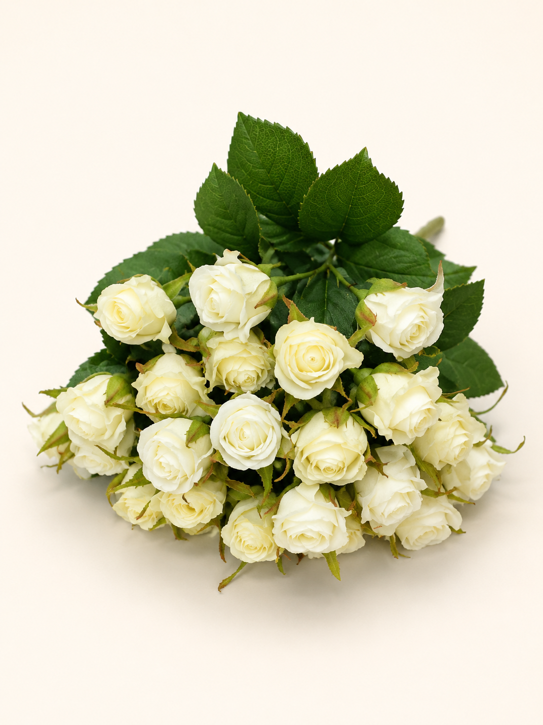 BF10305 MINI ROSE BUSH 13.5"