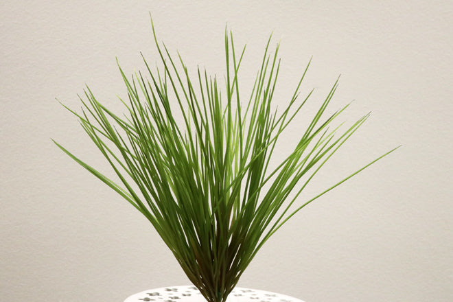 BG10301 PLASTIC GRASS BUSH,19in-12P/144/5.3