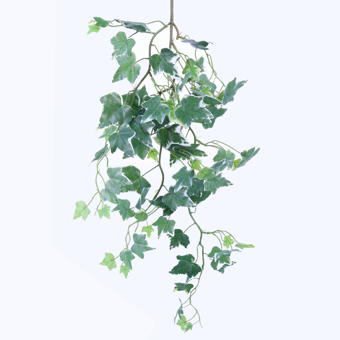 BG10332 IVY VINE SPRAY,36in-6P/60