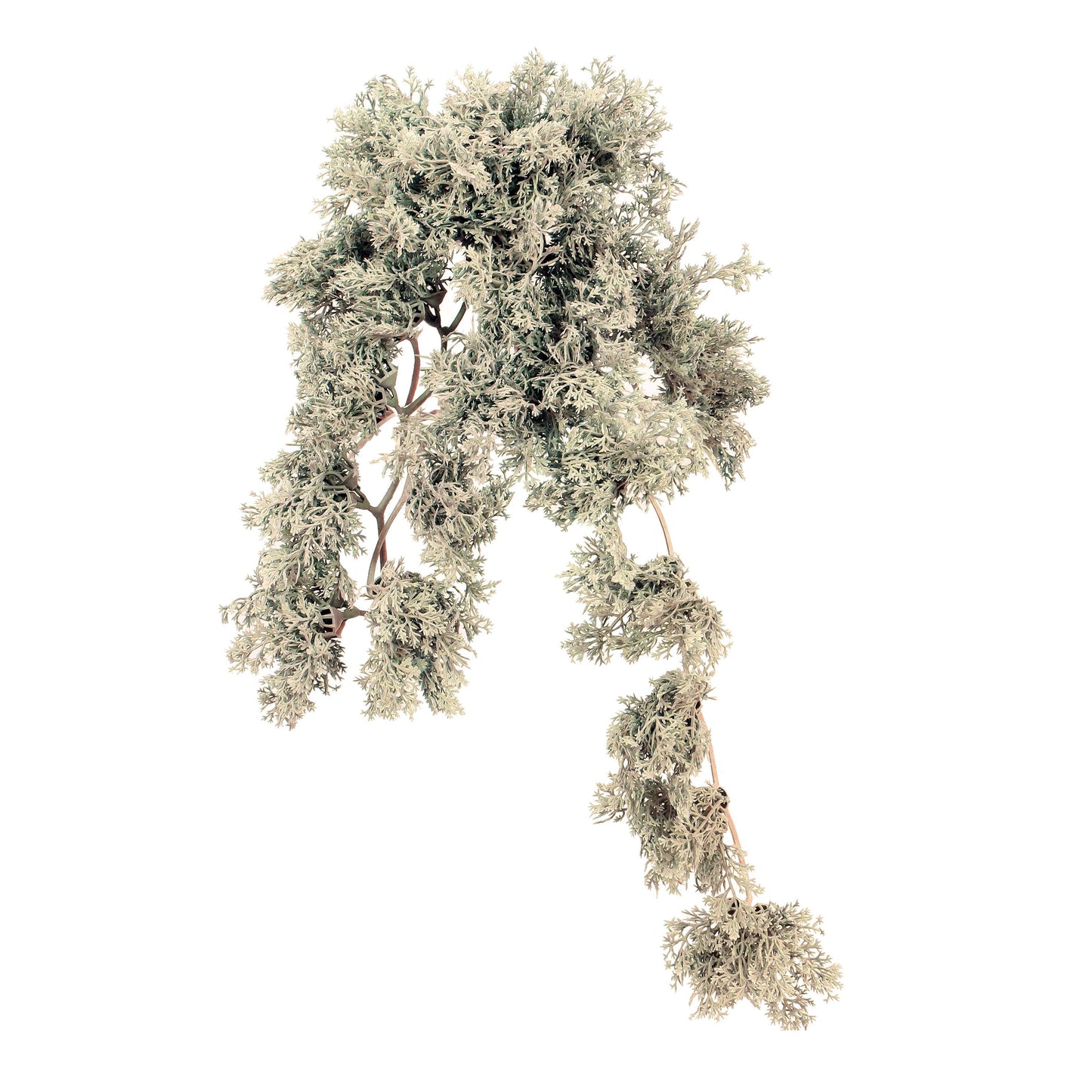 BG10413 MOSS BUSH,9in-12P/144/7'
